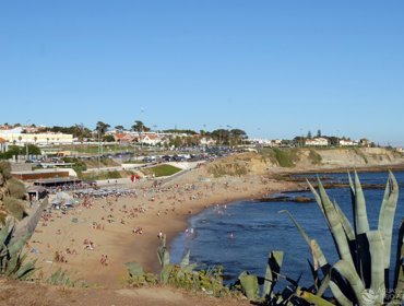 Praias da Tejo Atlântico galardoadas com 49 Bandeiras Azuis 