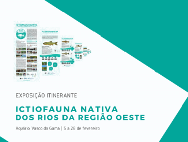 Exposição sobre os peixes nativos em Oeiras