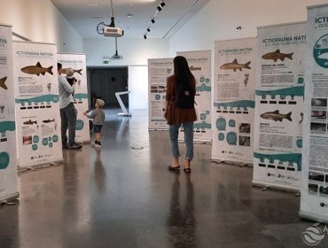 Workshop Peixes Nativos e inauguração exposição do Fundo Ambiental 