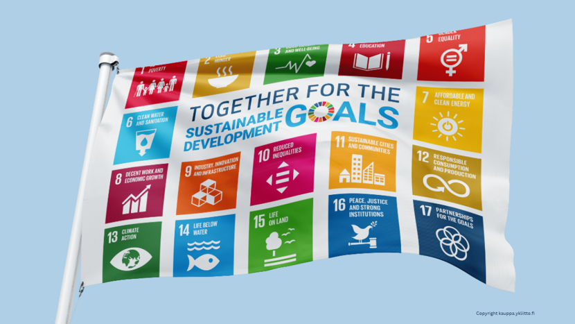 SDG Flag (3).png