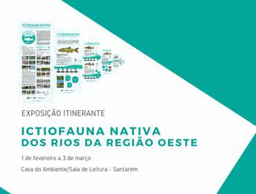 Exposição Itinerante "Ictiofauna Nativa dos Rios da Região Oeste" pode ser visitada no Bombarral e em Santarém nos próximos meses