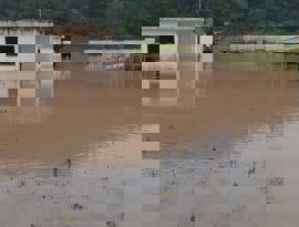 Resiliencia (6).jpeg