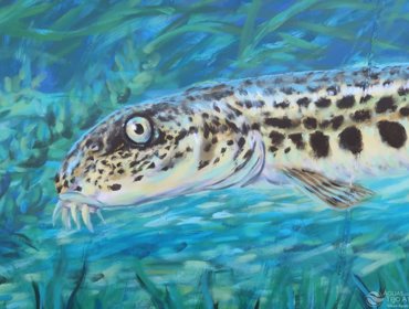 Arte urbana dá visibilidade a um serviço “invisível” 