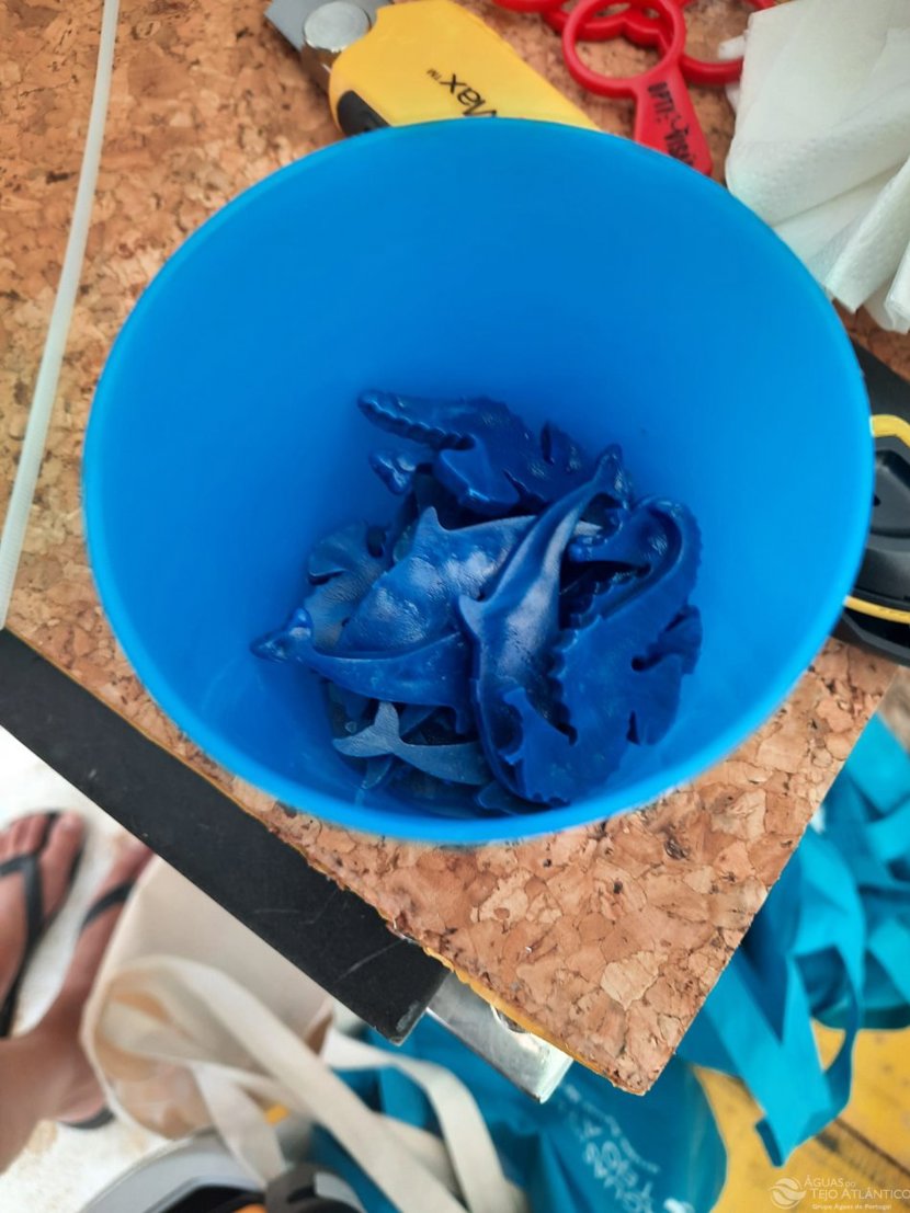 REplasticAR para despoluir o mar e renovar o plástico