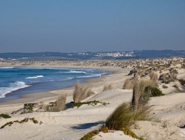 Praias da Tejo Atlântico galardoadas com 49 Bandeiras Azuis 