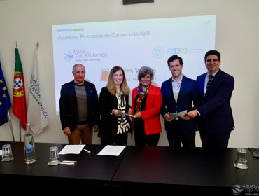 Cinco Selos AgIR de Qualidade Indústria em Evolução entregues às empresas que mais se destacaram no projeto AgIR 