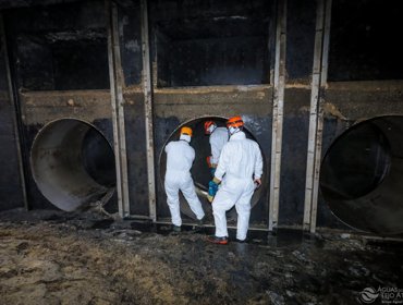 O que acontece por baixo das tampas de esgoto? 