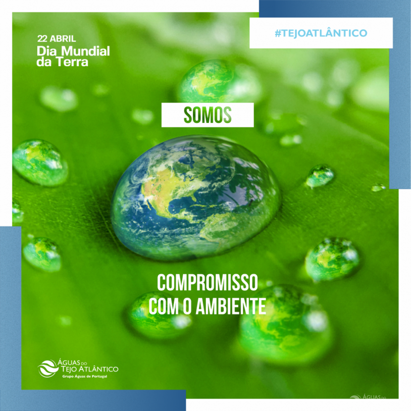 Dia Mundial da Terra celebrado com ações educativas