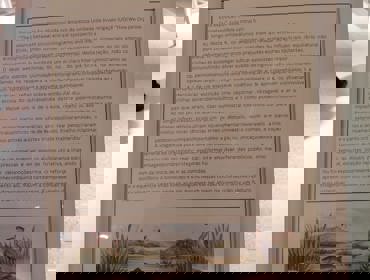 Exposiçao Oeiras Parque .jpeg