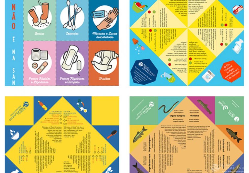 Novos conteúdos na área “Educação Ambiental”