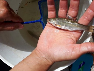 Águas do Tejo Atlântico comemora Dia Mundial da Conservação da Natureza 