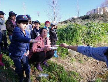 Contributo na conservação do rio Jamor 