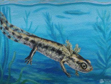 Estação Elevatória de Choupal com “ART” 