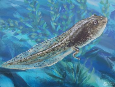 Arte urbana dá visibilidade a um serviço “invisível” 