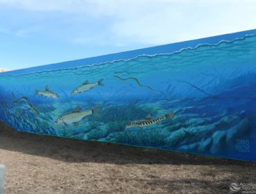 Arte urbana dá visibilidade a um serviço “invisível” 