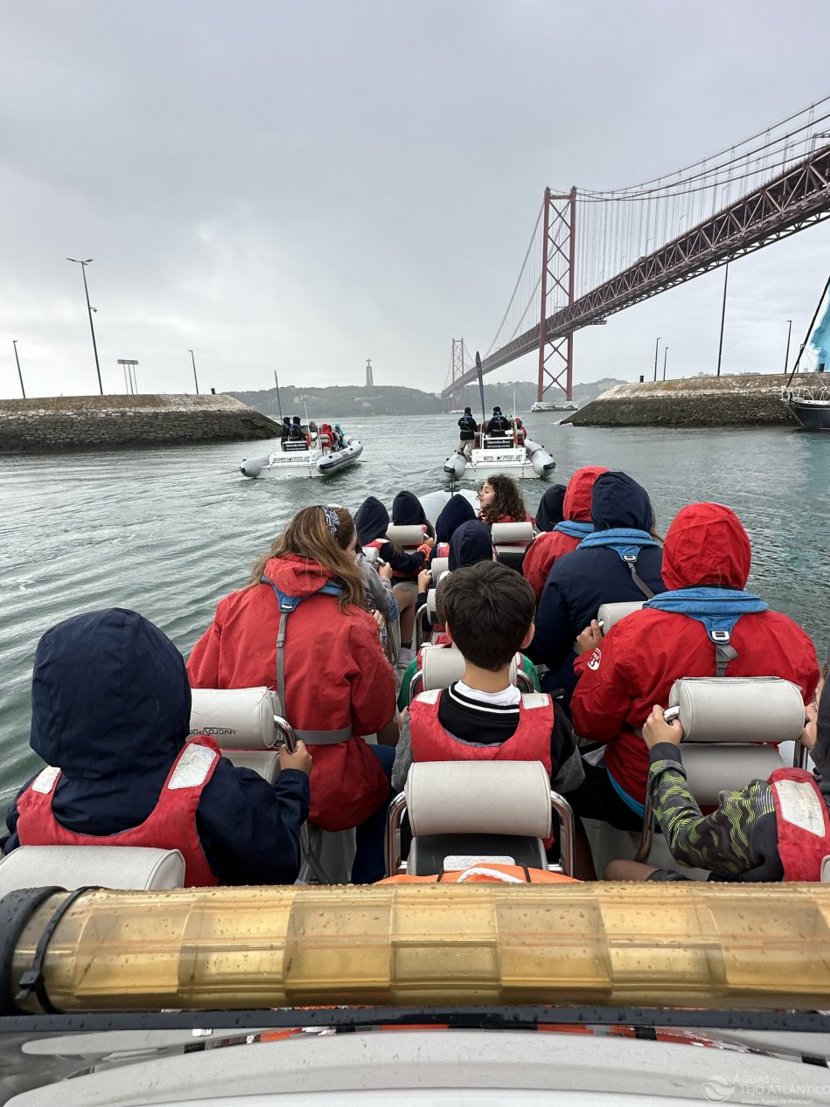 Crianças têm dia encantado ao avistarem golfinhos na barra do Tejo
