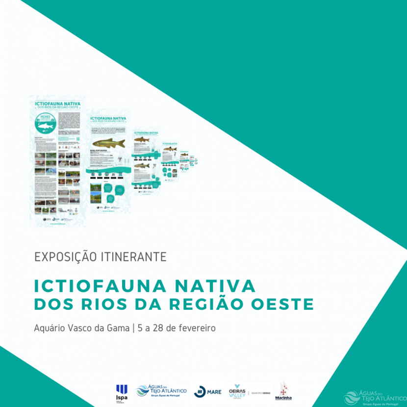 Ações de educação ambiental em abril