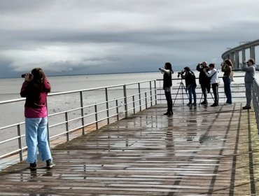 De olhos nas Aves em Beirolas, dia 1 de novembro 