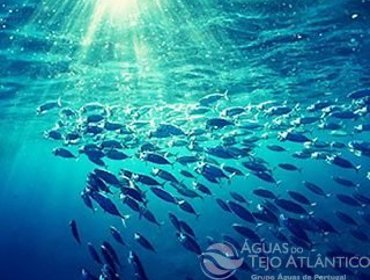 Estratégia do Atlântico da União Europeia reúne-se na Fábrica de Água de Alcântara