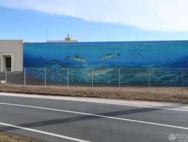 Arte urbana dá visibilidade a um serviço “invisível”