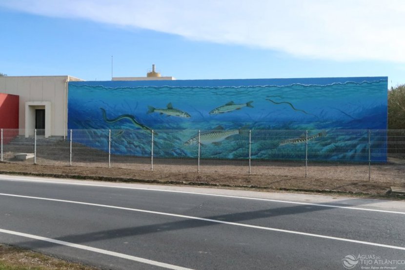 Arte urbana dá visibilidade a um serviço “invisível”