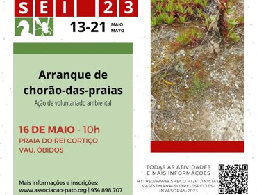 Voluntariado para remoção de plantas invasoras na praia do Rei Cortiço