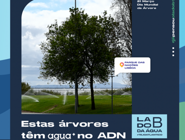 Em Lisboa centenas de árvores têm água+ no seu ADN