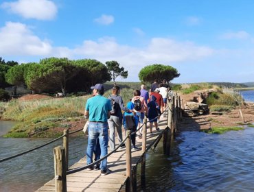 Mais de 100 pessoas conhecem a Tejo Atlântico nas férias 