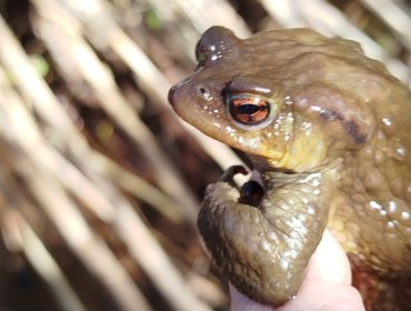 Projeto Rios forma novos monitores com o apoio da Águas do Tejo Atlântico 