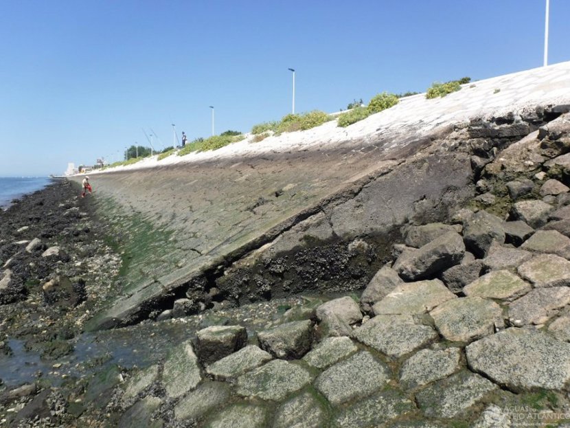Deteção de descargas de esgoto no Tejo